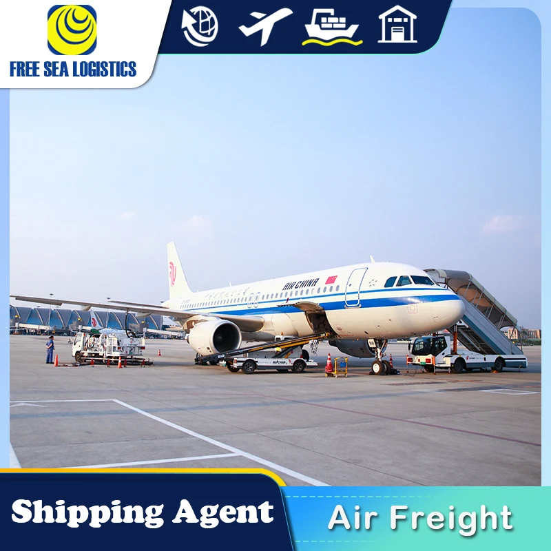 Shipping Agent Sea Freight Forwarder  From China To Saudi Arabia Egypt Turkey