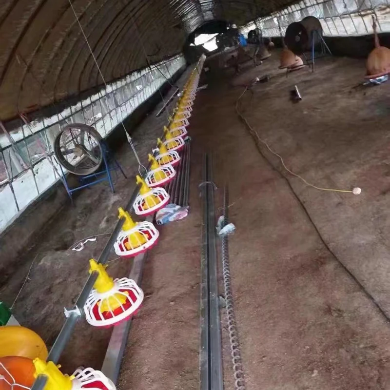 Full-Automatic Poultry Farming Equipment for Broiler Breeding Chicken Shed/Chicken House with Efficient Chicken Bird Feeders