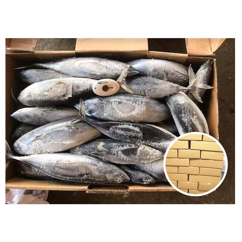 Оптовая продажа на Филиппинском рынке, Бонито, тунец большого размера