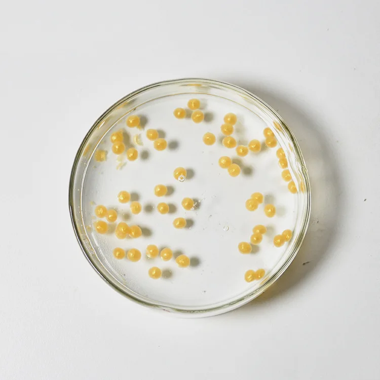 Caviar Skin Serum Gold Liquid Anti Wrinkle Female 3 Years Face Serum Oem Service OEM ODM Private Label Natural Skincare Cosmetic