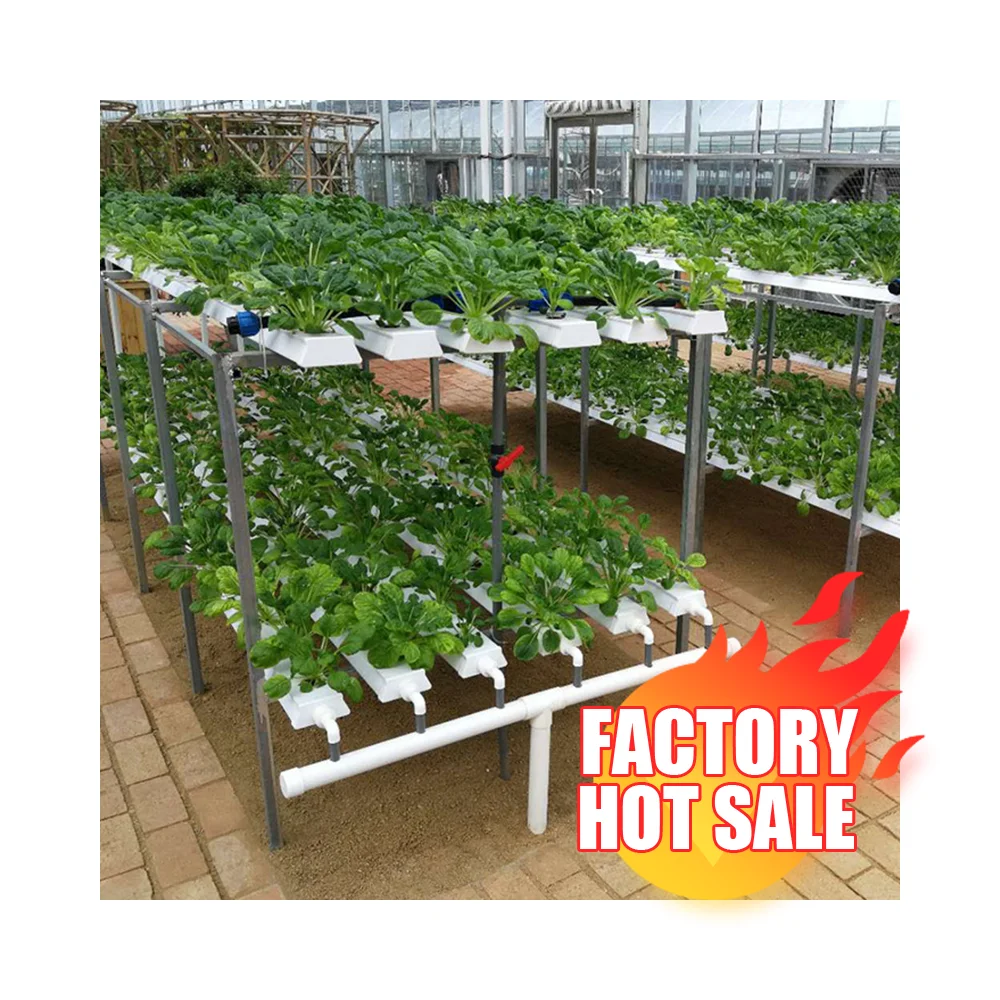 Заводская дешевая цена культиватор hidroponic hydroponic