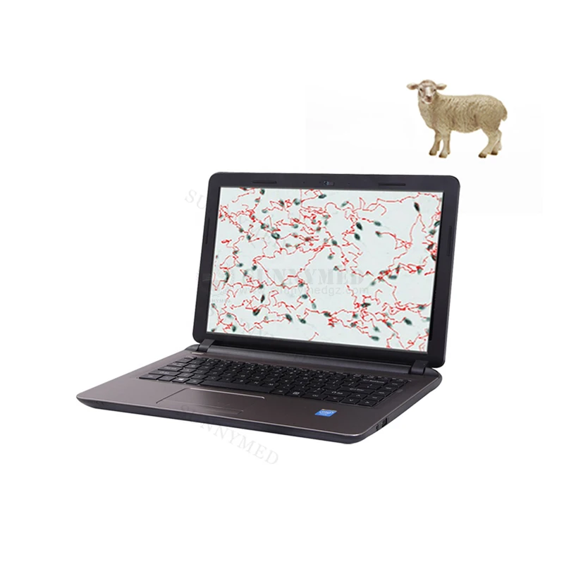 SY-B178V ветеринарный стол спермограмма анализатор спермы для животных в продаже