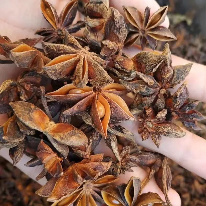 GXWW Wholesale Star High Quality Dried Spice Dried Star Anise Grade Brown Raw Single Herbs and Spices Dried Star Anise
