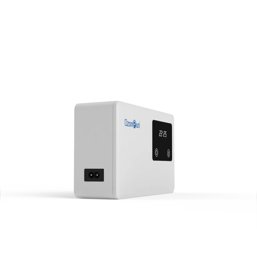 500mg/h 220V Home Use Ozone Machine OZ-1 Electric Vegetable Purifier for Disinfecting Food Small Size for Household Use