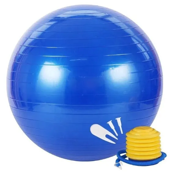 Factory Wholesale Hot Sale Customized Logo Anti-burst Design Made to Last Horse Toy High Quality Training
