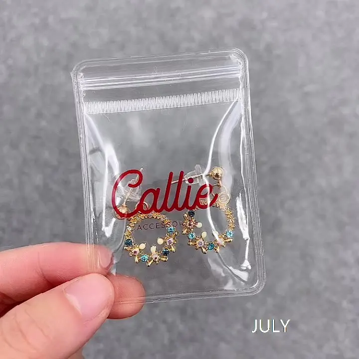 Customized PVC Accessories Plastic Packaging Bag High Quality Jewelry Pouch With Zipper Ziplock Jewelry Bag