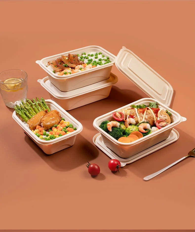 YIAN Cornstarch Food Container 100 Biodegradable Eco-friendly Meal Fresh Fruit Prep Kitchen Storage Box Home Organizer HZY-F-100