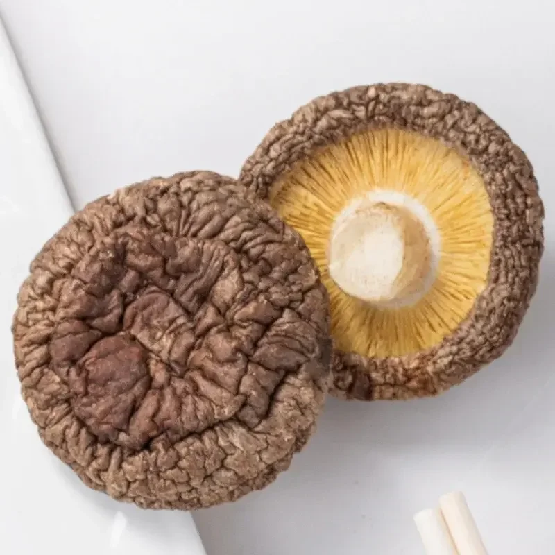 Certified Quality Button Mushroom Spawn White Agaricus Bisporus Mushroom