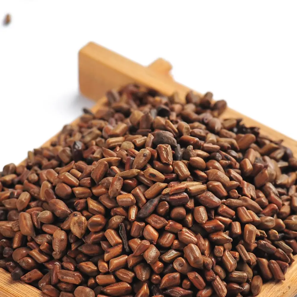 High Nutritional Traditional Chinese Herb Plant Herb Cassia Seed