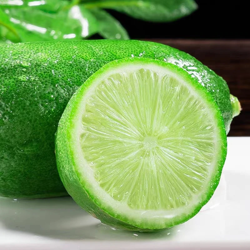 China export high quality fresh seedless lemon fresh lime