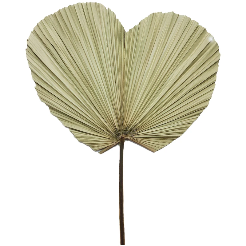 Крафтовый цветок класса А, Веерообразный хвост, Веерообразный хвост, башня и сердце в форме вечного растения, материал для дома, отеля, офиса, вечеринки CLF