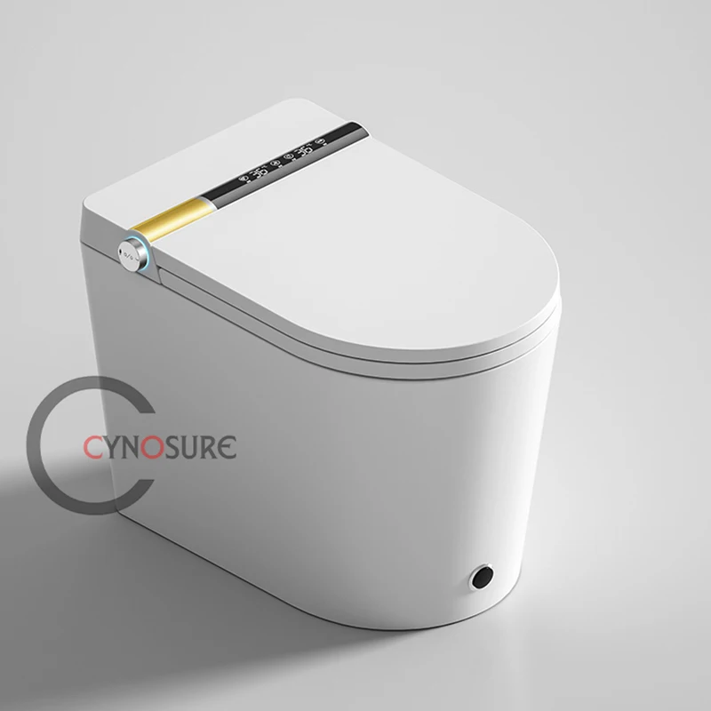 Hot Popular Flushing Sensor Automatic Smart Intelligent Sanitary Ware Ceramic Wc Toilet Bidet Floor Mounted