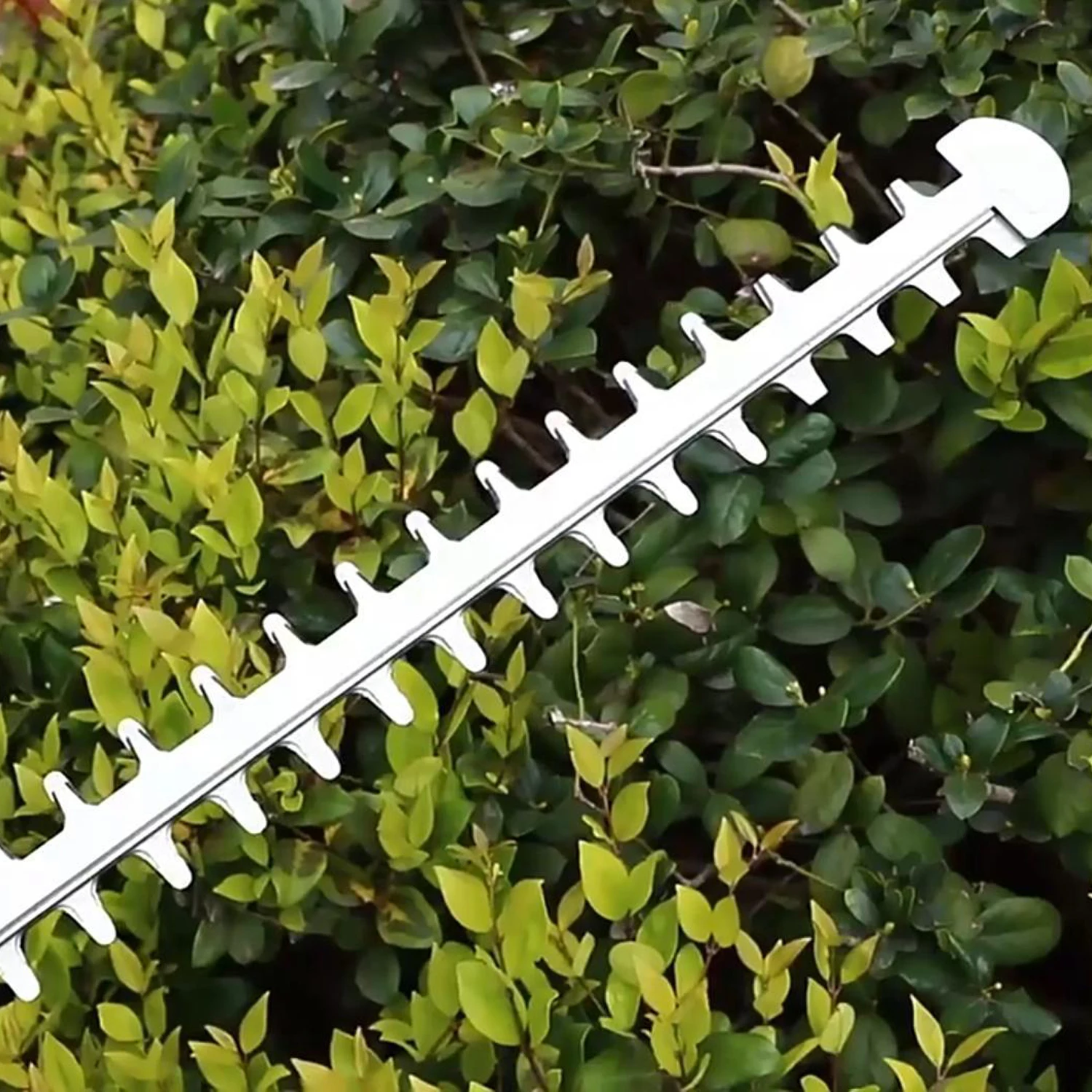 ZL3HT102 40 В бесщеточный беспроводной триммер для живой изгороди травы электрический садовый инструмент резки веток чайного дерева