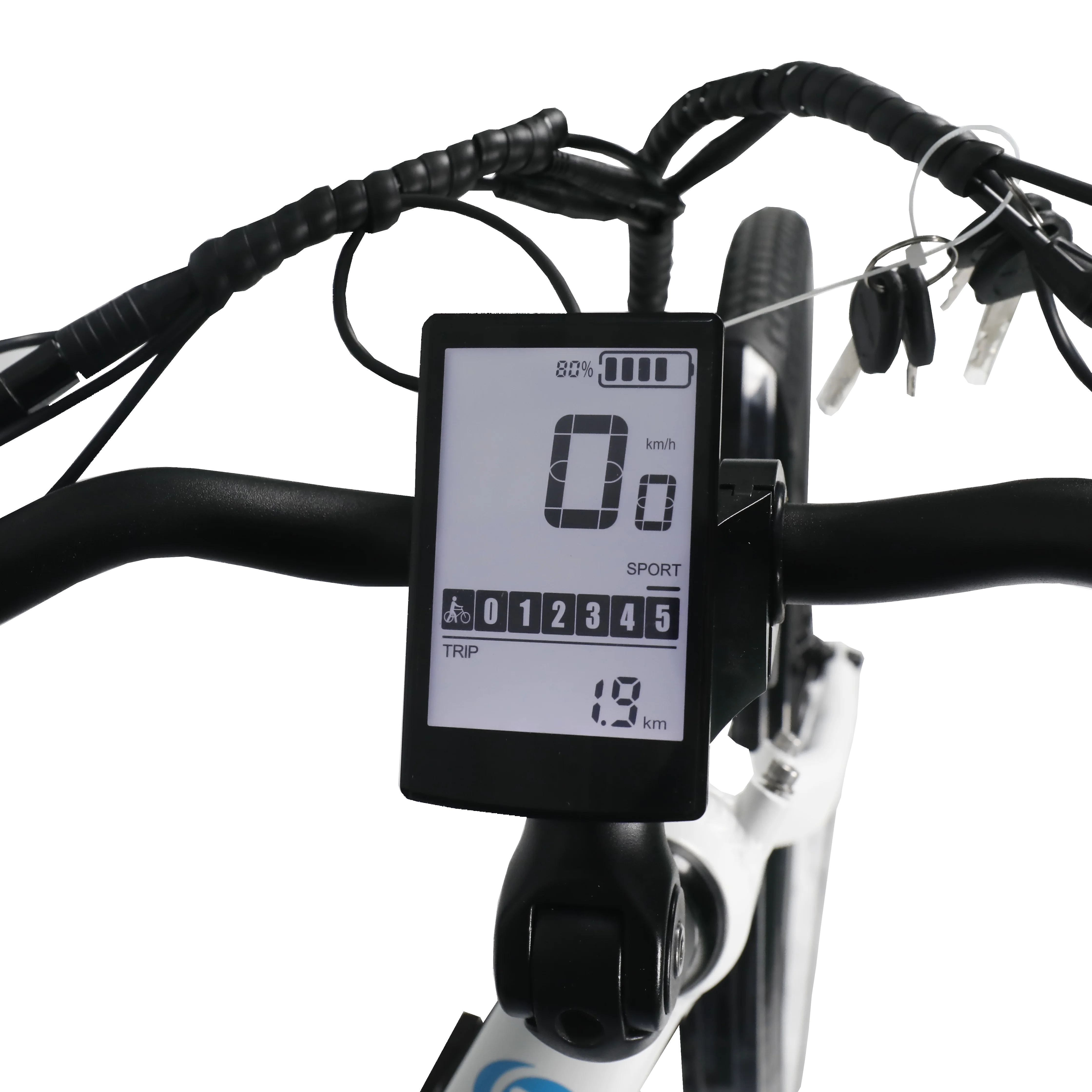 brand new 36v 500w electric bicycle rear wheel motor cargo ebike for sale