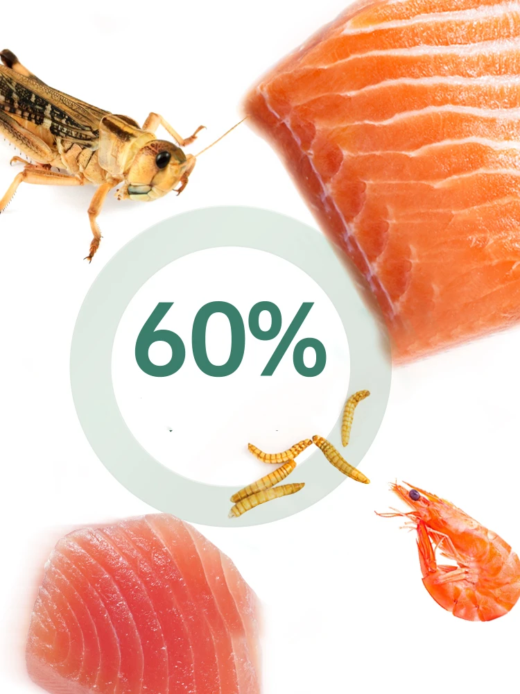 YEE корм для креветок черепахи аквариума пеллеты сульката дюймовая Золотая корма