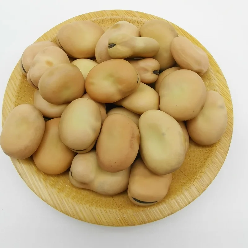 factory directly sell Liangtian broad BEAN  high-protein board  bean high premium quality with competitive price