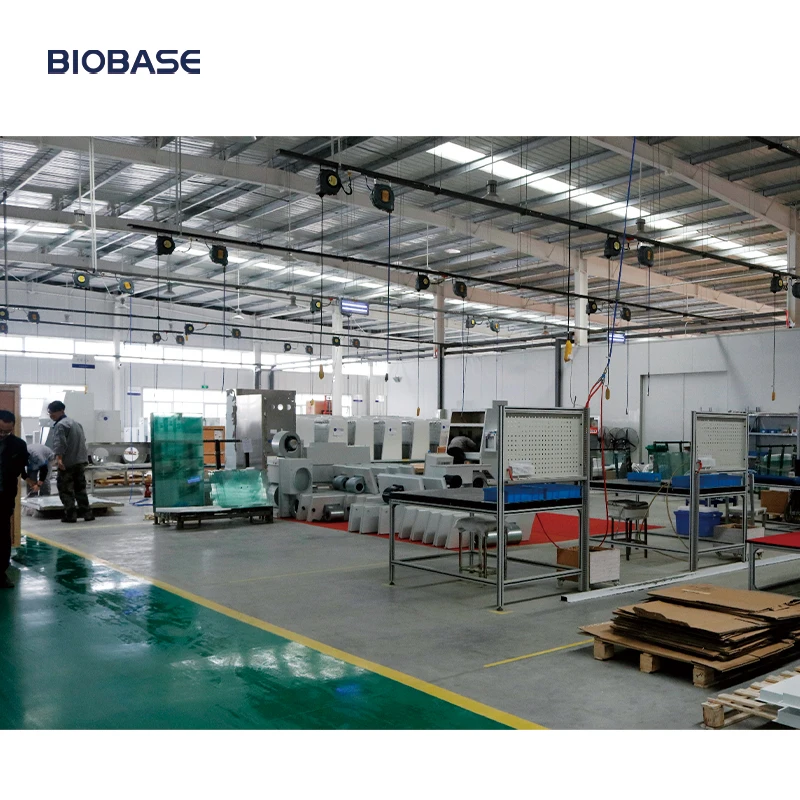 BIOBASE Китай баланс Цельсия и Фаренгейта) BP31002 электронные прецизионные