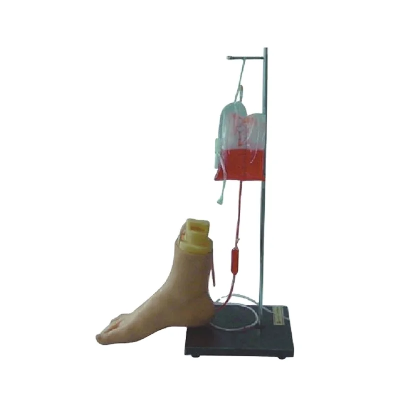 Advanced human nurse teaching elastic material foot vein injection model medical training models