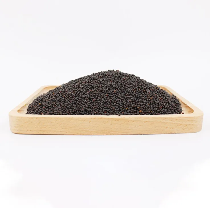 Wasabi Seed Spices Western Food Spices Black Mustard Seeds Seasoning Wholesale