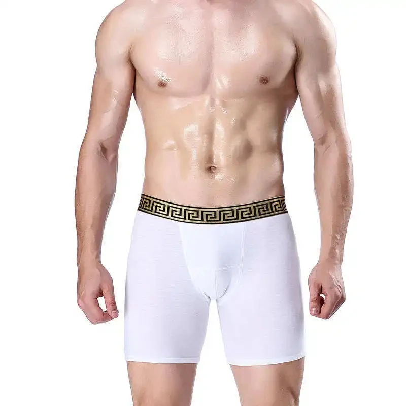 New Brand 95%cotton 5%spandex men seamless underwear Mid-rise Newest design men boxers underwear shorts