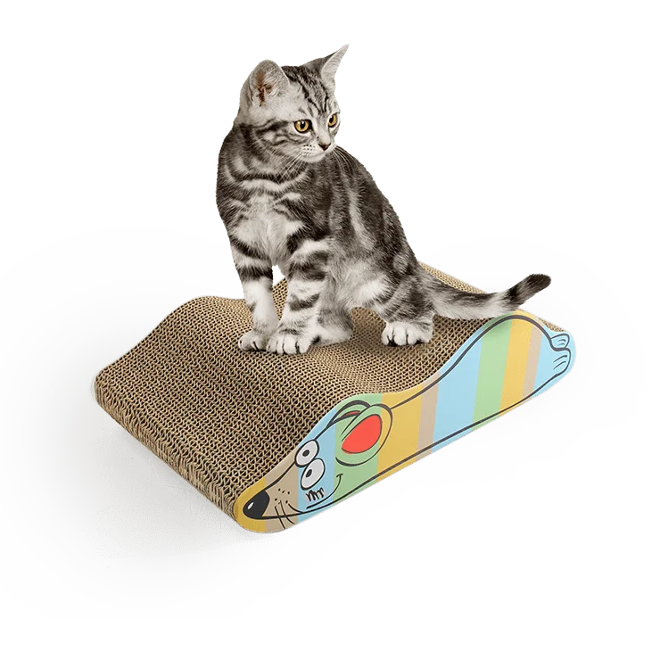 ALL FOR PAWS custom play mat butterflies teaser wand paper tunnel cat scratchers toys