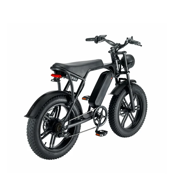 Factory direct 48V 15Ah Lithium Battery 750w 1000w 20 inch electric fat tire bike