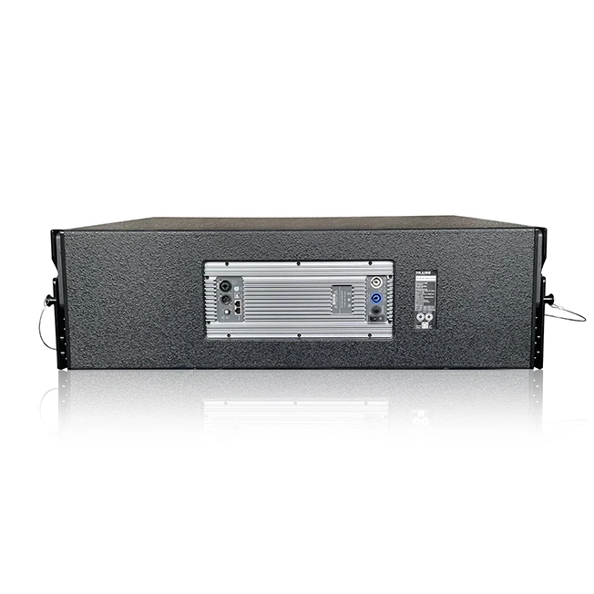 Professional Audio Passive Subwoofer Dual 12 Inch With Built-in Amplifier Module For Speaker System