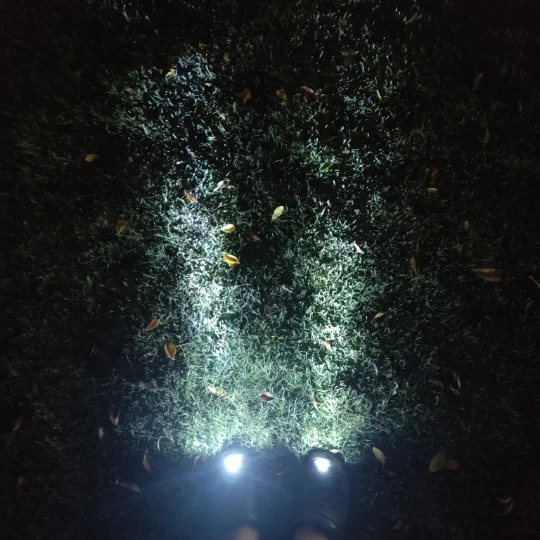 New Arrival hole shoe light new creative crocodile head light LED flashing shoe light night safety lamp