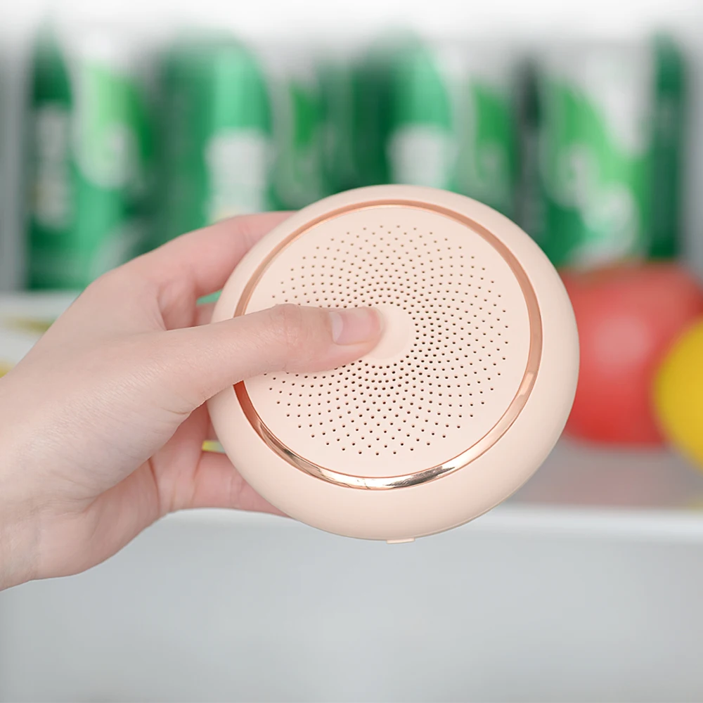 Rechargeable Ozone Air Purifier Ozone Generator Air Cleaner Portable For Car Refrigerator