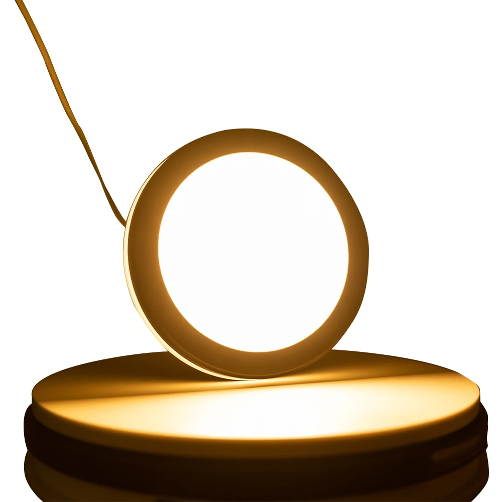 Modern Cct 3000k-4000k-6500k China Round Decoration Living Room Adjustable Vintage Ceiling Light For Indoor