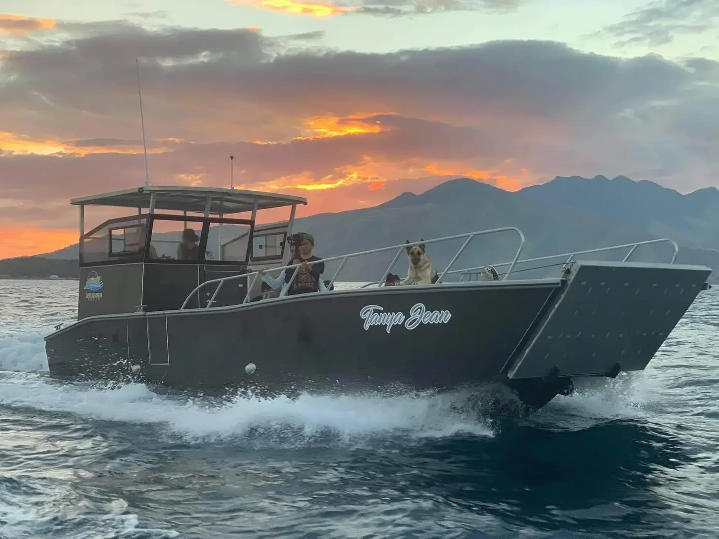 Speed 30ft 9m quality aluminum landing craft boats with roof for sales