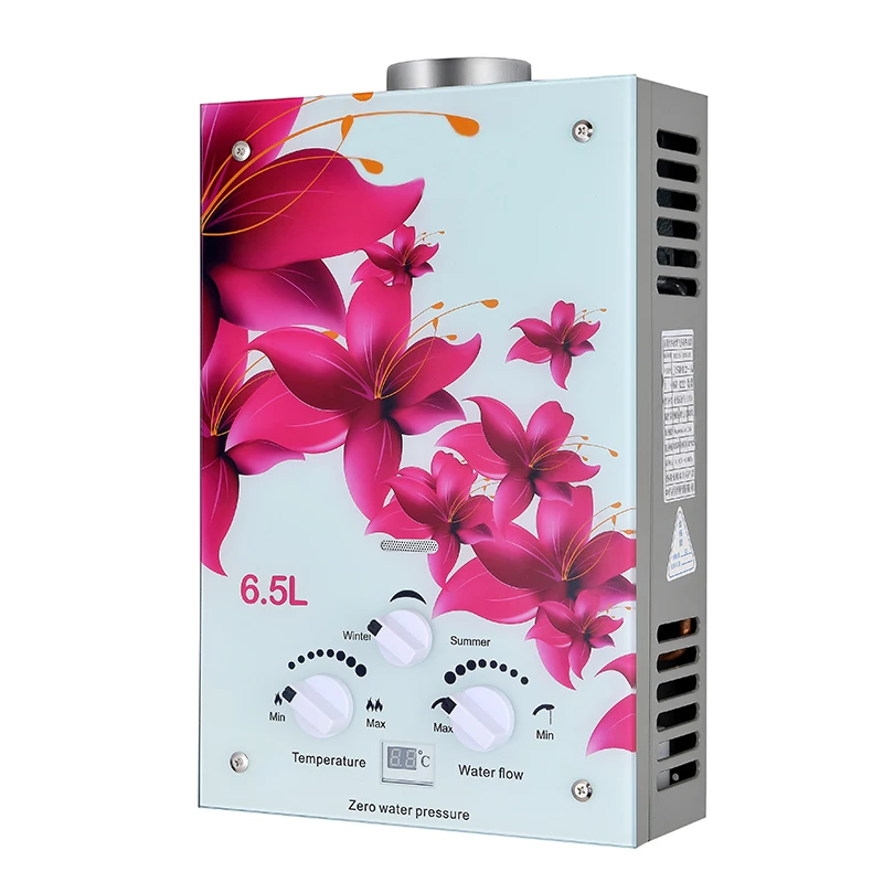 China Wholesale Price 6L 8L 10L 12L 14L 16L 20L 24L Hot LPG Geyser NG Gas Water Heater