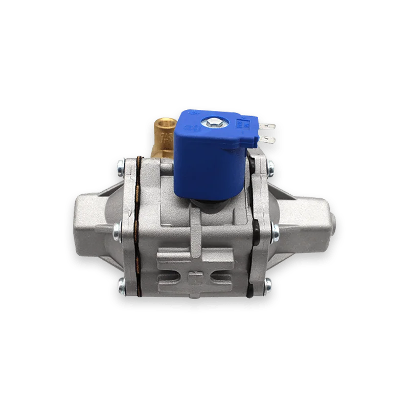 Made in China High Standard At12 Factory GNC GNV convert part system CNG Pressure Reducer