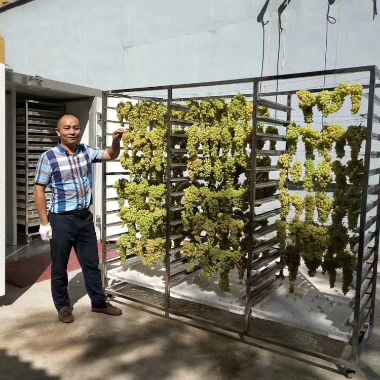 
Commercial Fruit and Vegetable Dryer / Grape Dryer / Kiwi Drying Machine 