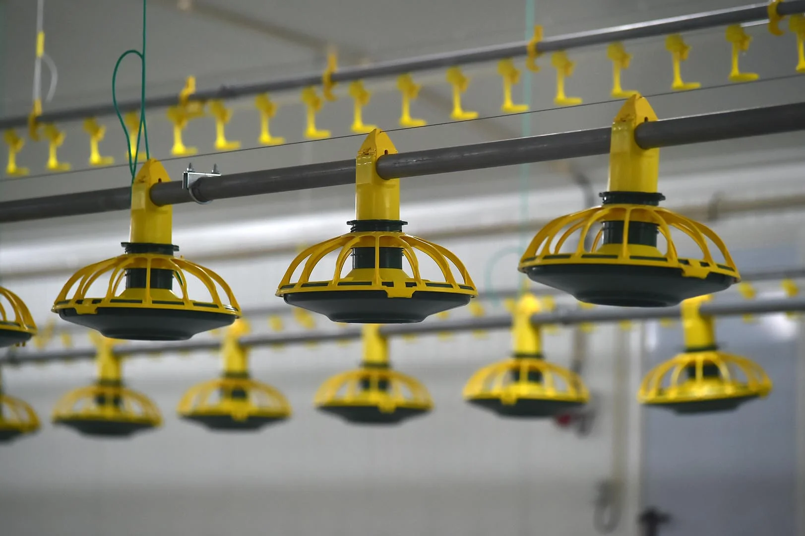 2024 China High Quality Modern Broiler Equipment Poultry Shed Design Chicken Farm Steel Structure