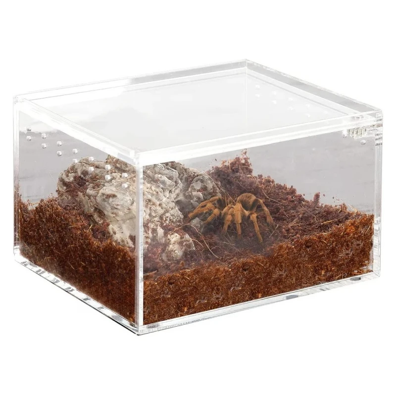 water-proof acrylic reptile box spider horn frog guard palace snake reptile observation feeding box
