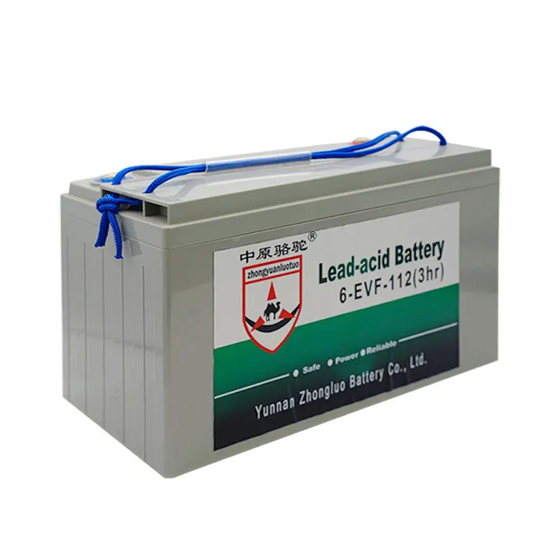 Hot Selling Wholesale 48 Volt batterie 50ah 100ah 110ah 160ah Lead acid Battery 48V 110Ah Golf Cart Batteries
