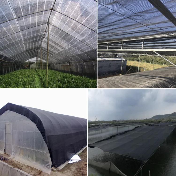 Wholesale Best price HDPE plastic Anti UV Black shadow network Garden sun shade mesh 60% 3 x 100 m shade net for agriculture