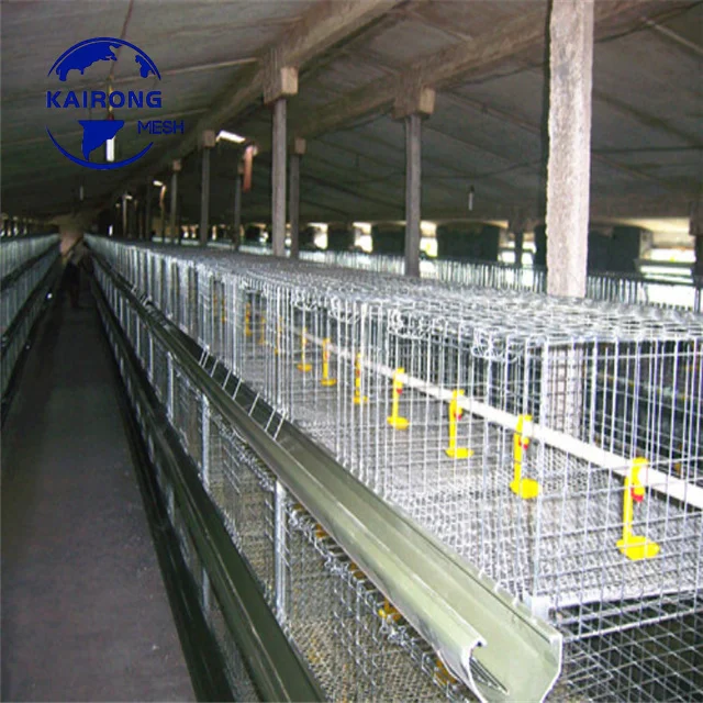 Free Sample Provided 5 Tiers 200 Birds Gamefowl Dome Pen Chicken Cage