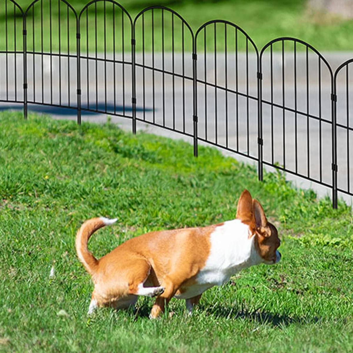 Black Powder Coated Wrought Iron Garden Fence Decorative Steel Pale Picket with Galvanized Frame for Farm and Pool Use