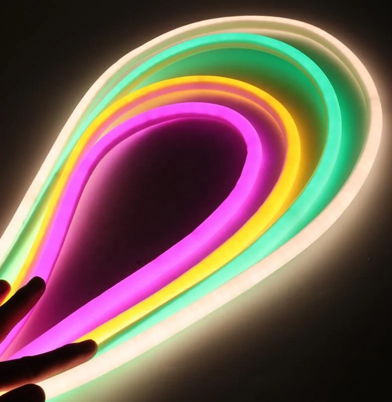 Hot Sale Silicone Neon Strip 12V 24V 110V 120V 240V 230V RGB 360 Degrees Flexible Led Neon Light RGB Neon Strip Holiday Lights