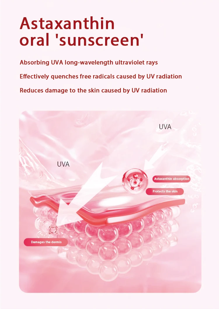 Anti-oxidants 5% Astaxanthin extract Oil  5% Natural Haematococcus Pluvialis Extract