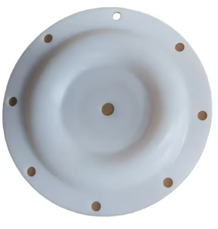 World Class Manufacturer Diaphragm/ Pneumatic Diaphragm Pump Spare Parts 93459-4