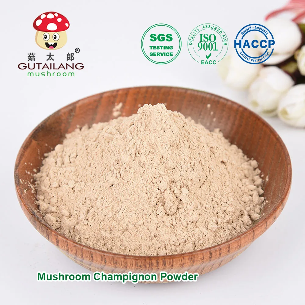 Mushroom Champignon Powder Gutailang Factory Directly Selling Champignon Mushroom Extract Powder