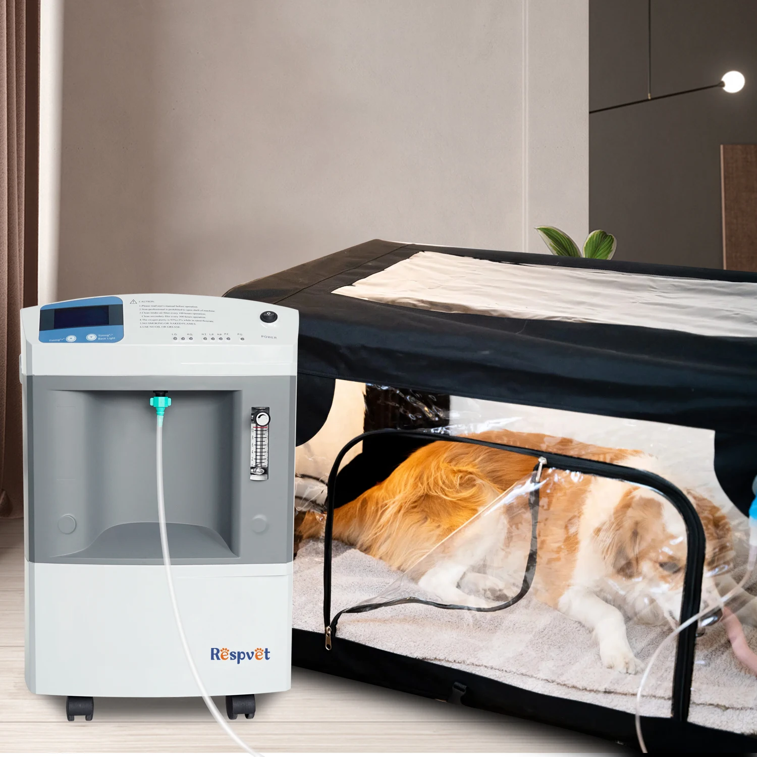 Health Equipment Physical Therapy Jay-10 10 Lpm Veterinary  Vet Oxygen Generator Oxygen Concentrator Use In Pet Clinic Hospital