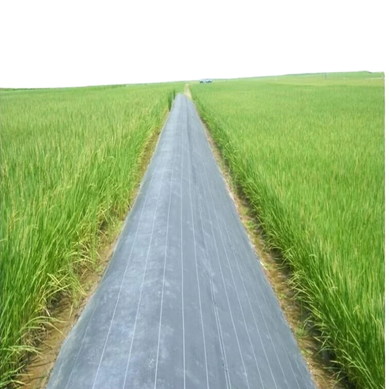 PP weed control Barrier fabric roll Agricultural and garden ground cover weed mat rolls Landscape fabric anti grass cloth