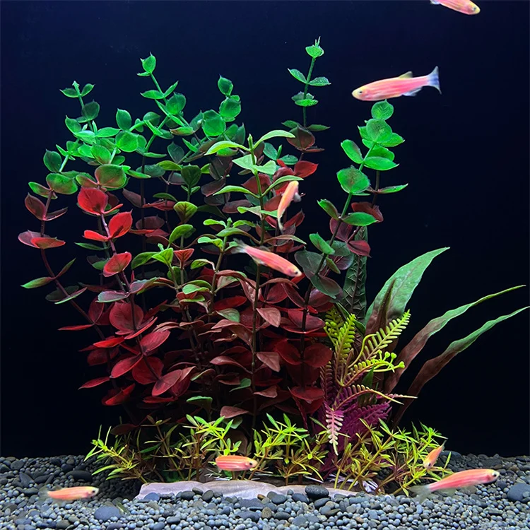 Plastic Artificial Aquarium Plants For The Aquarium