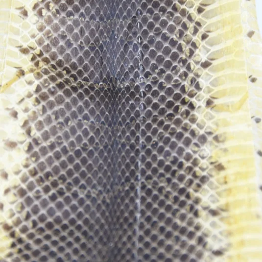 Dry raw water snake skins for leather