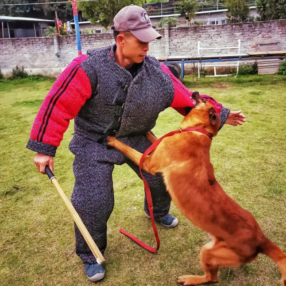 
Brand new 2020 dog bite suit 