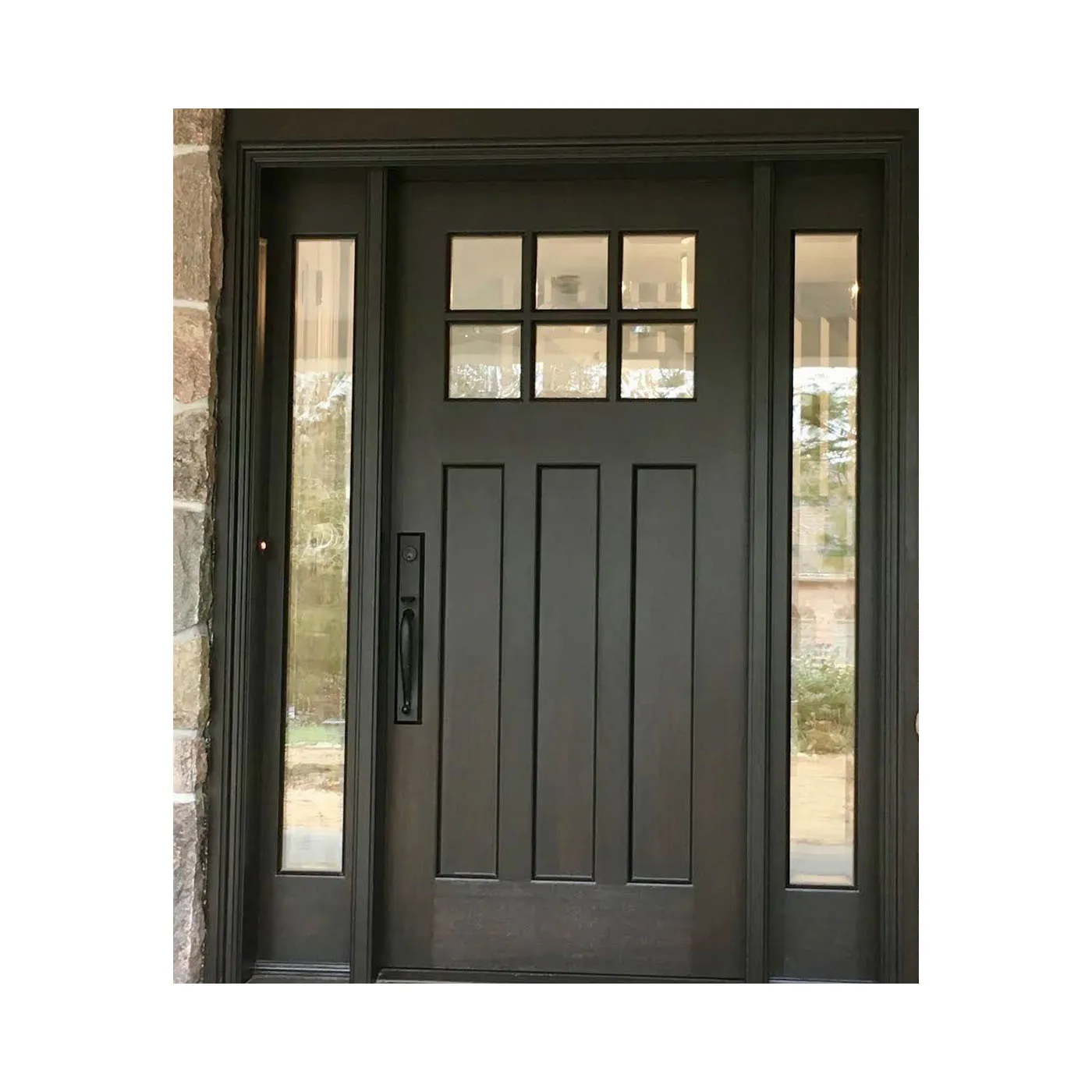 Ace Wood International Style Video Entrance Door Lock Pivot Entrance Metal Door With Thermal Break Modern Design Entrance Door